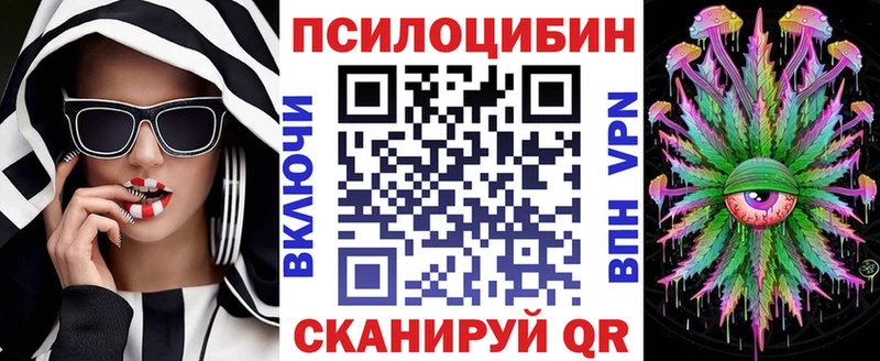 Галлюциногенные грибы Psilocybe  магазин  наркотиков  Нахабино 